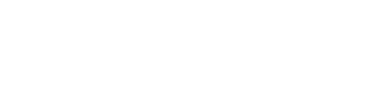 Happy Turtle