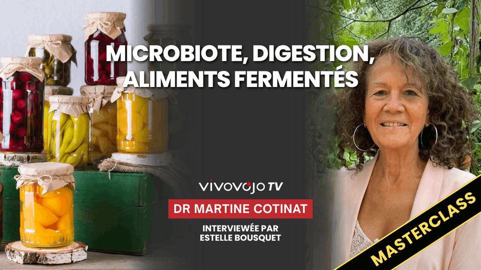 Microbiote, digestion, aliments fermentés — Dr Martine Cotinat