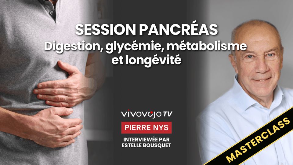 Pancréas : digestion, glycémie, longévité — Pierre Nys